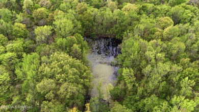 Looking for land to build your dream home- This 39-acre property - photo 9