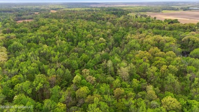 Looking for land to build your dream home- This 39-acre property - photo 10