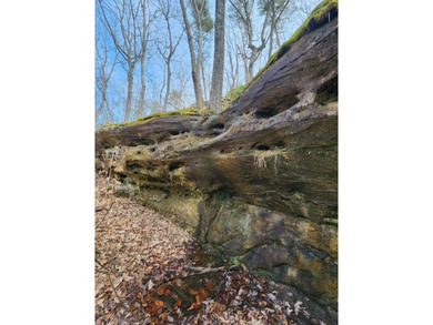 Escape to 5.66 private acres in Sparta, TN! Includes a level pad - photo 10