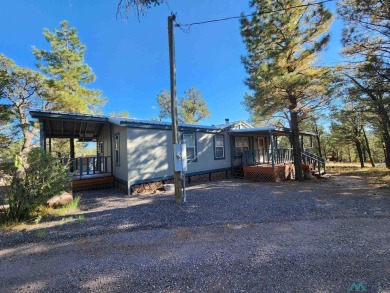 Quemado Lake Home For Sale in Quemado New Mexico