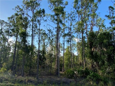 (private lake, pond, creek) Lot For Sale in Punta Gorda Florida