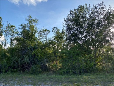 (private lake, pond, creek) Lot For Sale in Punta Gorda Florida