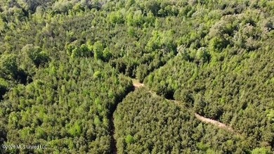 This 66+/- acre tract in the West Lincoln School District - photo 2
