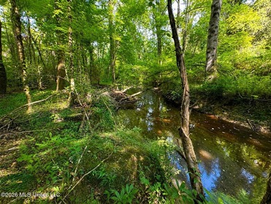 This 66+/- acre tract in the West Lincoln School District - photo 7