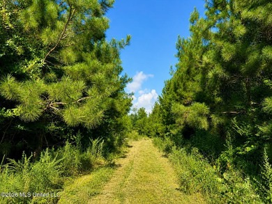 This 66+/- acre tract in the West Lincoln School District - photo 9