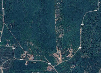 Wright Patman Lake Acreage For Sale in Douglassville Texas