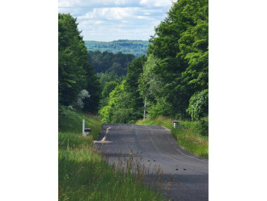 Lake Michigan - Manistee County Acreage For Sale in Arcadia Michigan