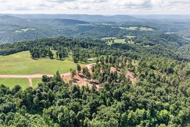 Discover Sandstone Heights, Pickett County's newest premier - photo 7