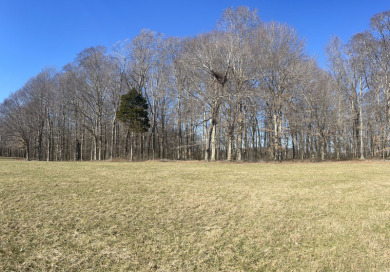 1.6 Acre Lake Cumberland Building Lot - photo 7