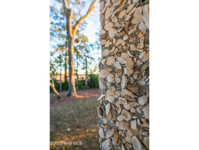 Elegant New Construction! This exquisite 3 story residence