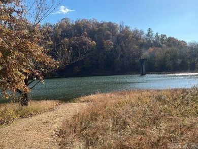 (private lake, pond, creek) Acreage For Sale in Hattieville Arkansas
