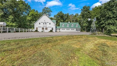 Lake Home For Sale in Millstadt, Illinois