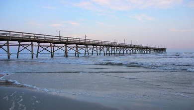 Welcome to Southshore Bay only 2 miles from the Atlantic Ocean - photo 19