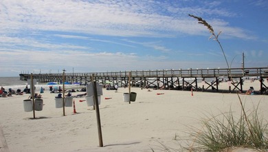 Welcome to Southshore Bay only 2 miles from the Atlantic Ocean - photo 21
