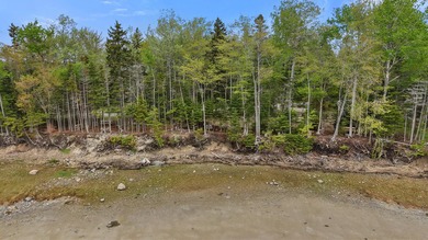 Welcome to a beautiful waterfront setting on Back Bay, ideal for - photo 23