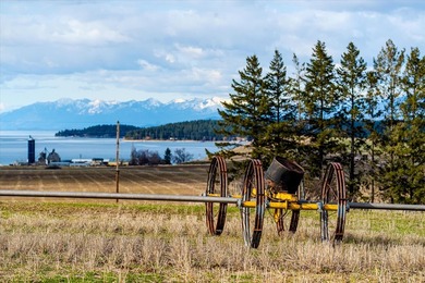 PRIME 167-ACRE DEVELOPMENT OPPORTUNITY! Located within city - photo 3