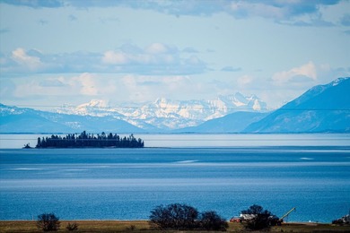 PRIME 167-ACRE DEVELOPMENT OPPORTUNITY! Located within city - photo 5