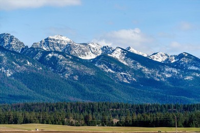 PRIME 167-ACRE DEVELOPMENT OPPORTUNITY! Located within city - photo 7