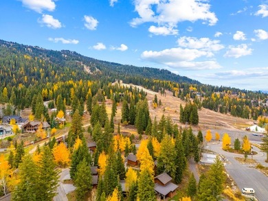 Nestled in the prestigious Tamarack Resort community, this - photo 28