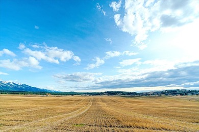 PRIME 167-ACRE DEVELOPMENT OPPORTUNITY! Located within city - photo 8