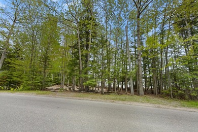 Welcome to a beautiful waterfront setting on Back Bay, ideal for - photo 29
