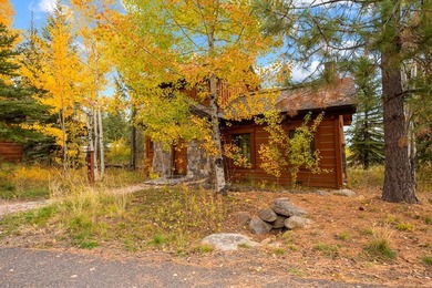 Nestled in the prestigious Tamarack Resort community, this - photo 30