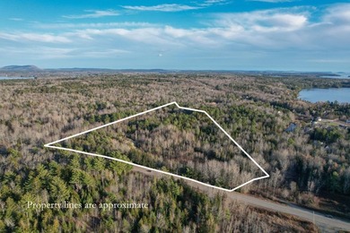 19.3 acres located in Hancock, Maine. This centrally situated - photo 1