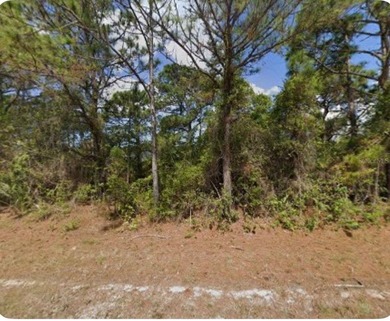 Discover an excellent opportunity to invest in one of Florida's - photo 2