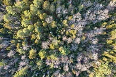 19.3 acres located in Hancock, Maine. This centrally situated - photo 8