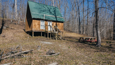 Pending: Tiny Cabin, 1+/- Acres & 5 mins to Boat Ramp - photo 16