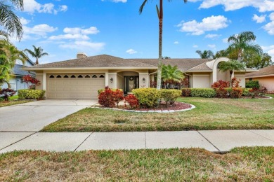 Lake Home For Sale in Tarpon Springs, Florida