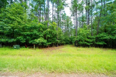 Lake Lot For Sale in Lincolnton, Georgia