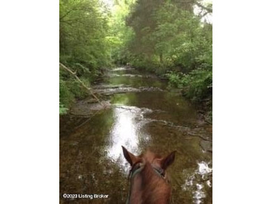 (private lake, pond, creek) Home Sale Pending in Louisville Kentucky