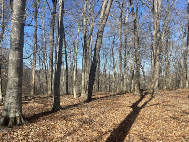 1.6 Acre Lake Cumberland Building Lot - photo 4