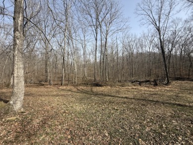 Pending: Tiny Cabin, 1+/- Acres & 5 mins to Boat Ramp - photo 6