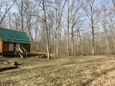 Pending: Tiny Cabin, 1+/- Acres & 5 mins to Boat Ramp - photo 2
