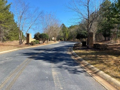 Beautiful Interior Lake Lot in the Eagle Pointe lake community - photo 12