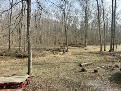 Pending: Tiny Cabin, 1+/- Acres & 5 mins to Boat Ramp - photo 7