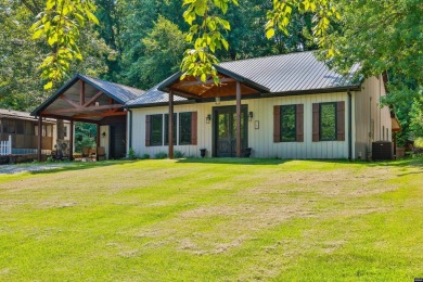 Lake Home For Sale in Springville, Tennessee