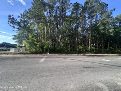 Large residential lot, close to Highway 90, I-10, shopping - photo 1