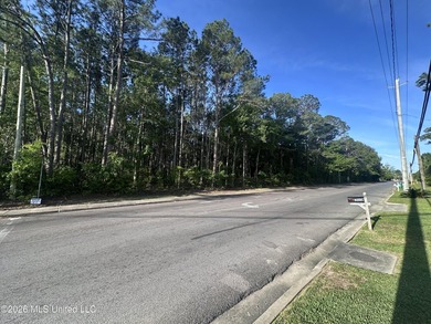 Large residential lot, close to Highway 90, I-10, shopping - photo 2
