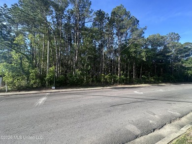 Large residential lot, close to Highway 90, I-10, shopping - photo 3
