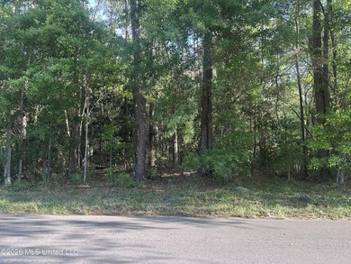 Large residential lot, close to Highway 90, I-10, shopping - photo 5
