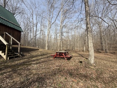 Pending: Tiny Cabin, 1+/- Acres & 5 mins to Boat Ramp - photo 3