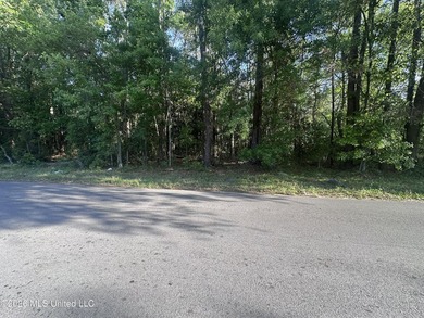 Large lot to build your home on, and close to shopping - photo 2