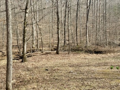 Pending: Tiny Cabin, 1+/- Acres & 5 mins to Boat Ramp - photo 9