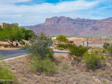 Build your dream home in the highly sought-after Gold Canyon - photo 13