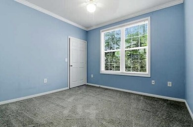 Experience the best of Johns Island living in this beautiful - photo 13