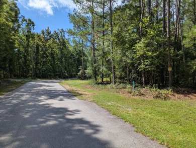 Strom Thurmond / Clarks Hill Lake Lot For Sale in Plum Branch South Carolina