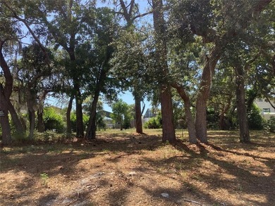 Beautiful buildable VACANT RESIDENTIAL Lot in great established - photo 1